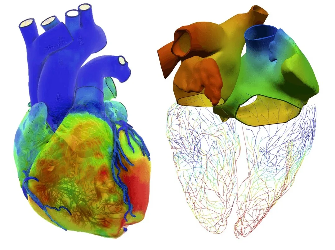 Virtual Twins Guide Nearly 2,000 Surgeries and Growing