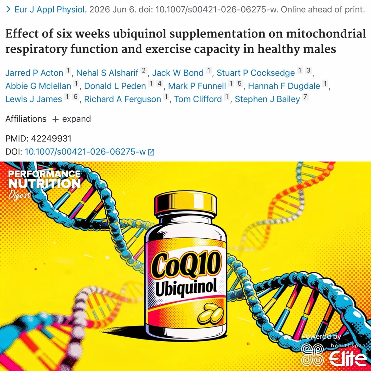 Ubiquinol Boosts Mitochondrial Efficiency in Active Men