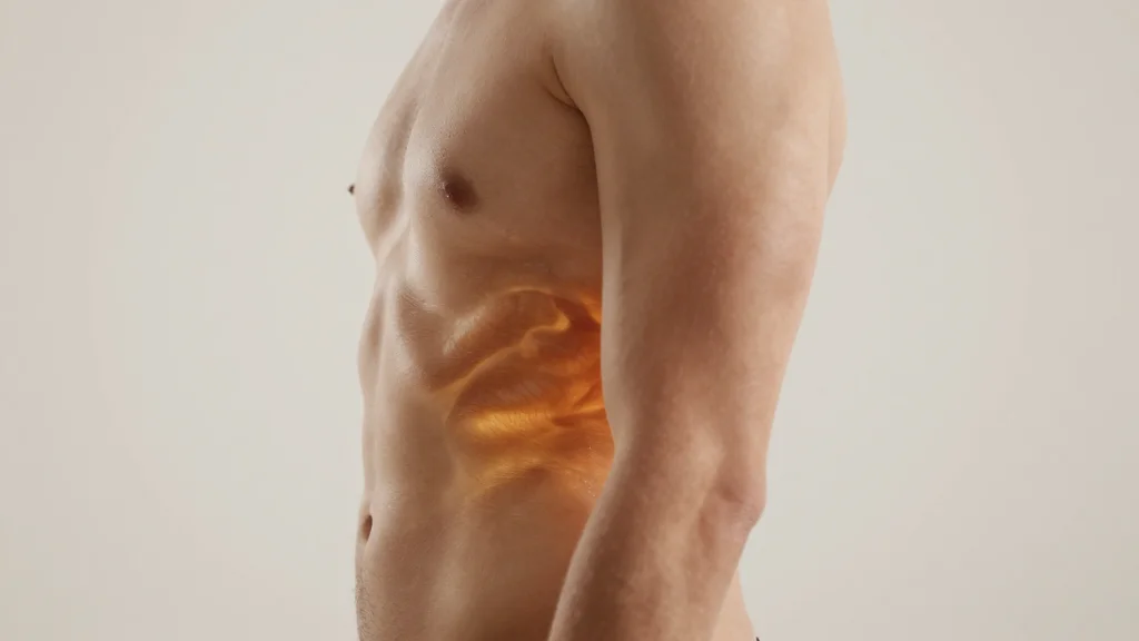 SLIT3 Protein Identified as Boost for Brown-Fat Calorie Burning, Opening New Biohacking Path