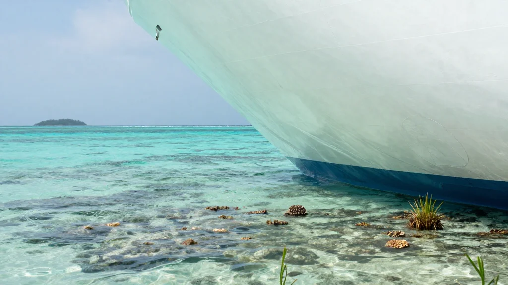 30 Passengers Evacuated After Fiji Princess Runs Aground Near Cast Away Island