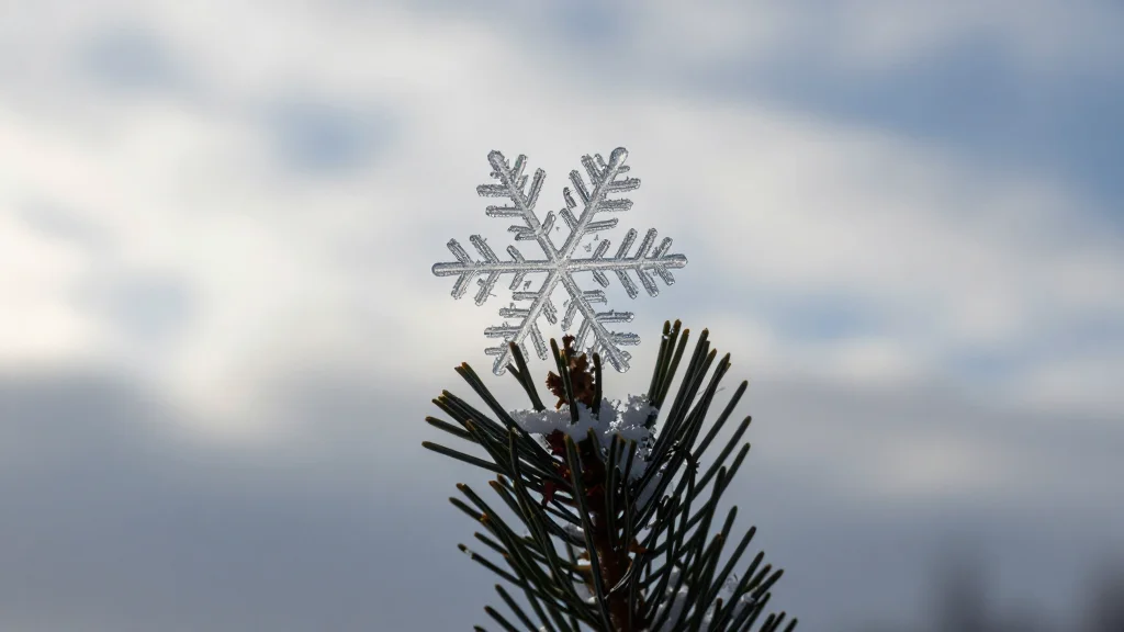 Unraveling Mid-Latitude Winter Precipitation Uncertainties