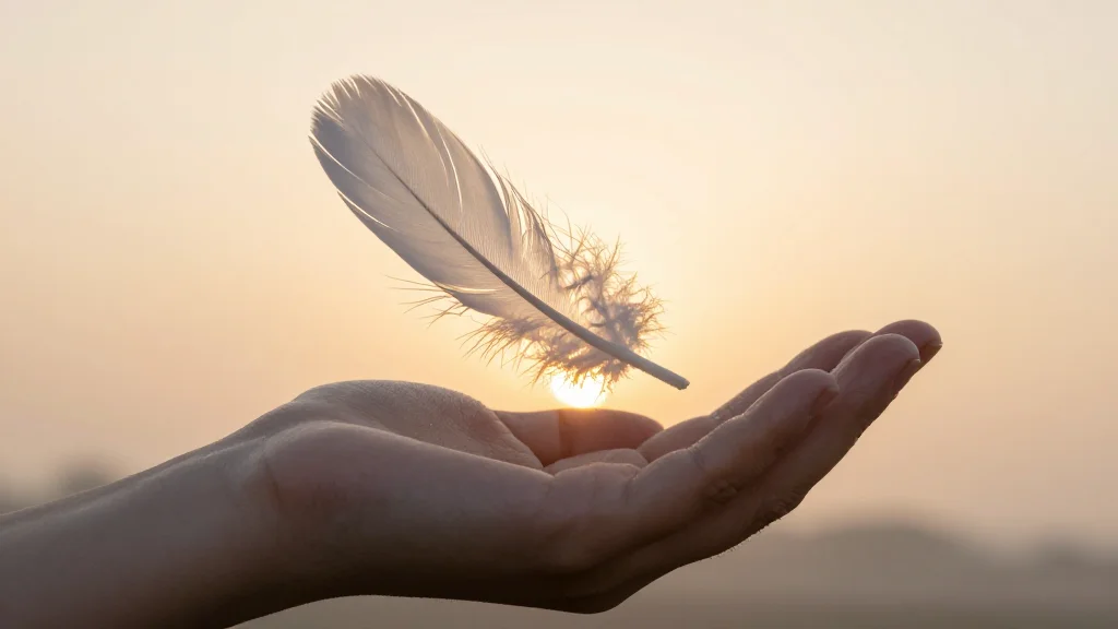 JKYog Publishes "Embracing Impermanence" Guiding Readers Toward Detachment