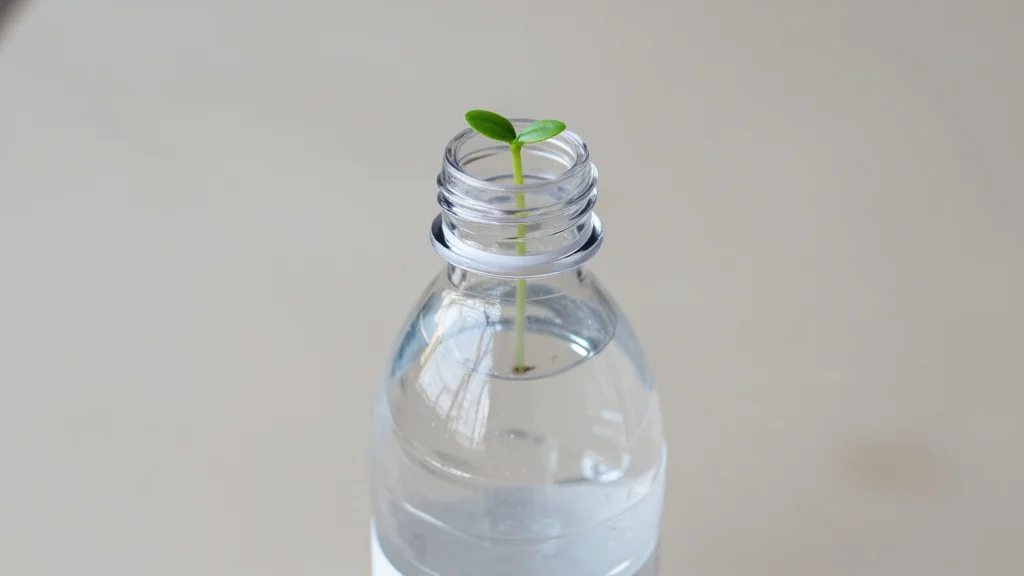 Consumer Expectations Drive Innovation in Plastic Packaging