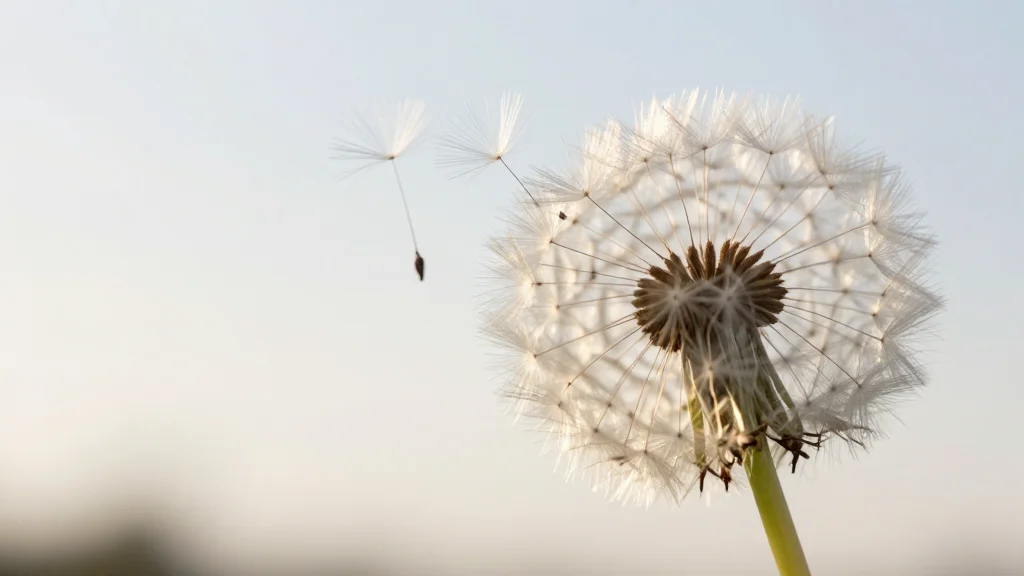 7 Lessons for When Control Fails