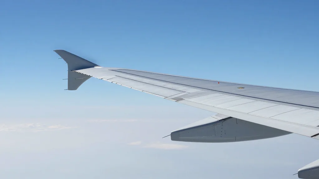 Passenger's Racial Slur Forces Delta Flight Diversion