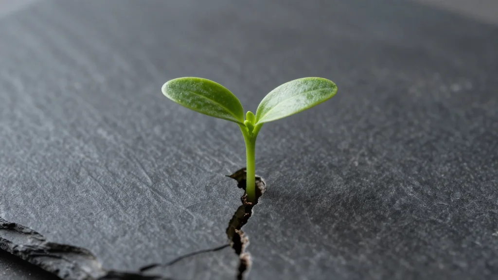 True Leadership Thrives on Relentless Coachability and Self‑honesty