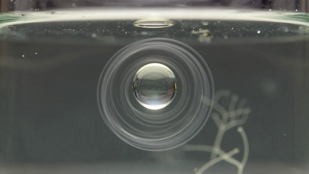 Liquid Phase TEM of Diffusing Emulsion Droplets