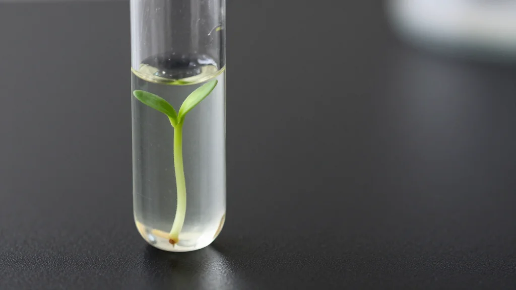 Angitia’s Latest Megaround to Fuel Mid-Stage Milestones: Venture Report
