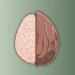 Therapy in a Nutshell (Emma McAdam, LMFT)