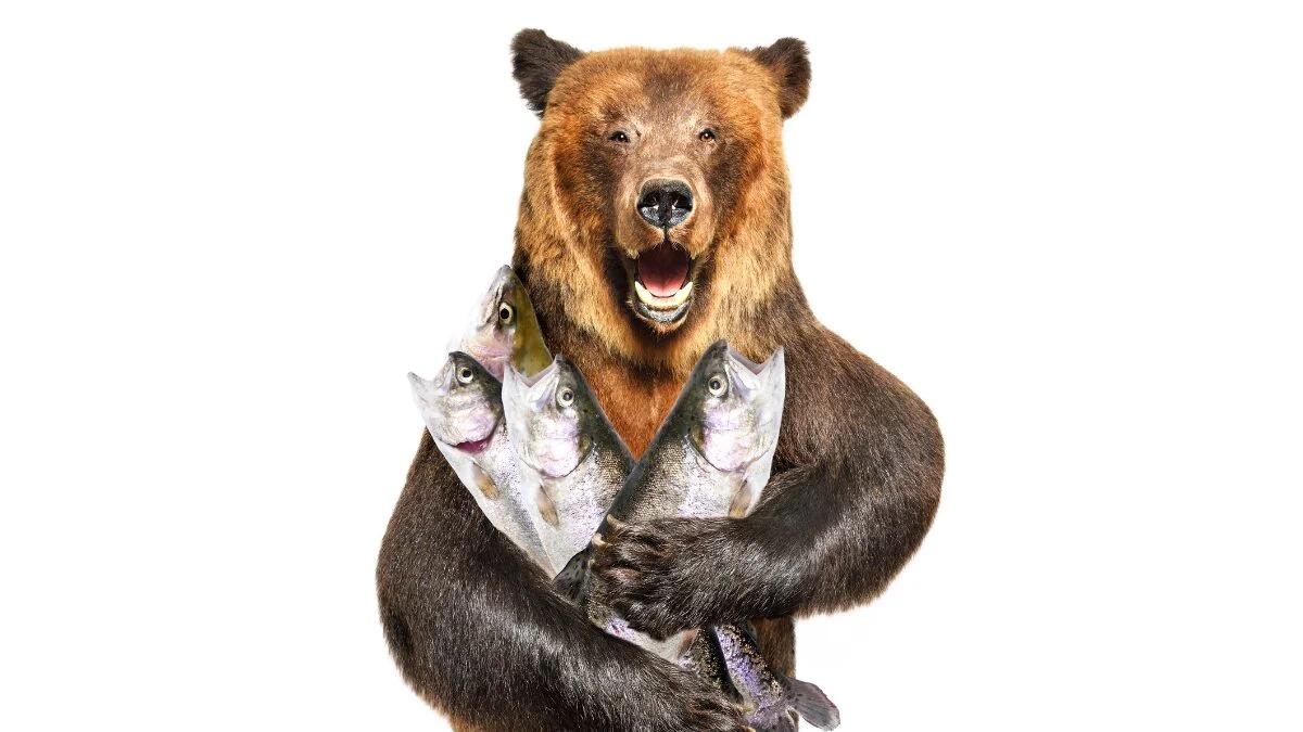 FIN Reels in Big Sulphide Hit as It Chases Gold in Cabin Lake Drilling