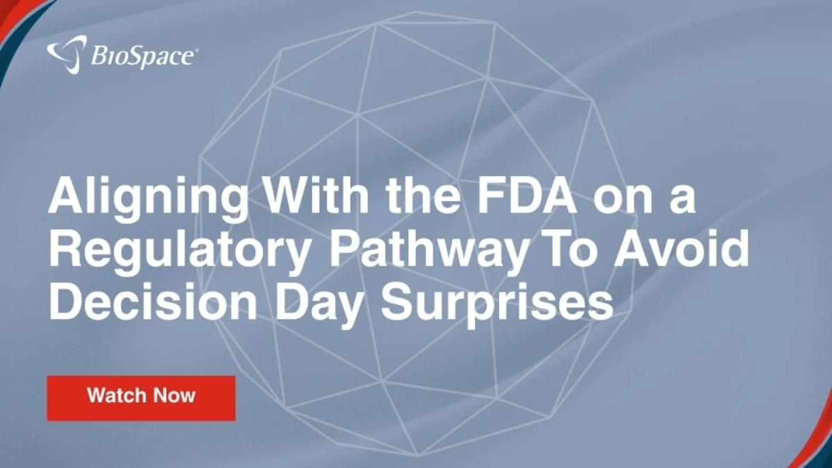 Webinar: Aligning With the FDA on a Regulatory Pathway To Avoid Decision Day Surprises