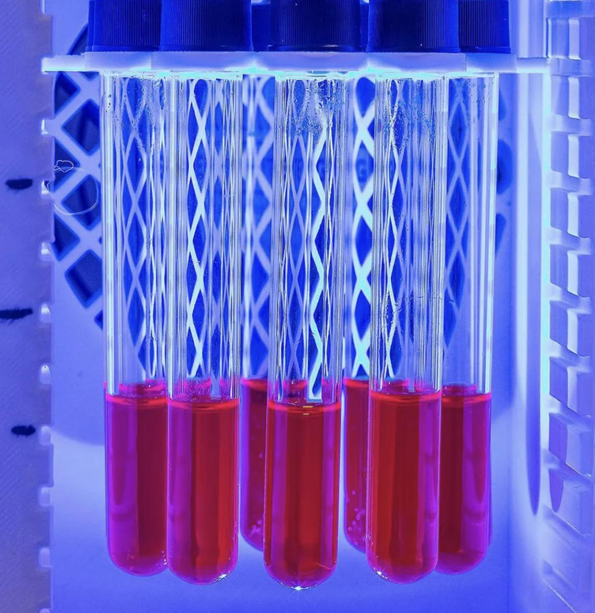 Molecular Solar Battery Stores Energy for Days, Yields Hydrogen on Demand