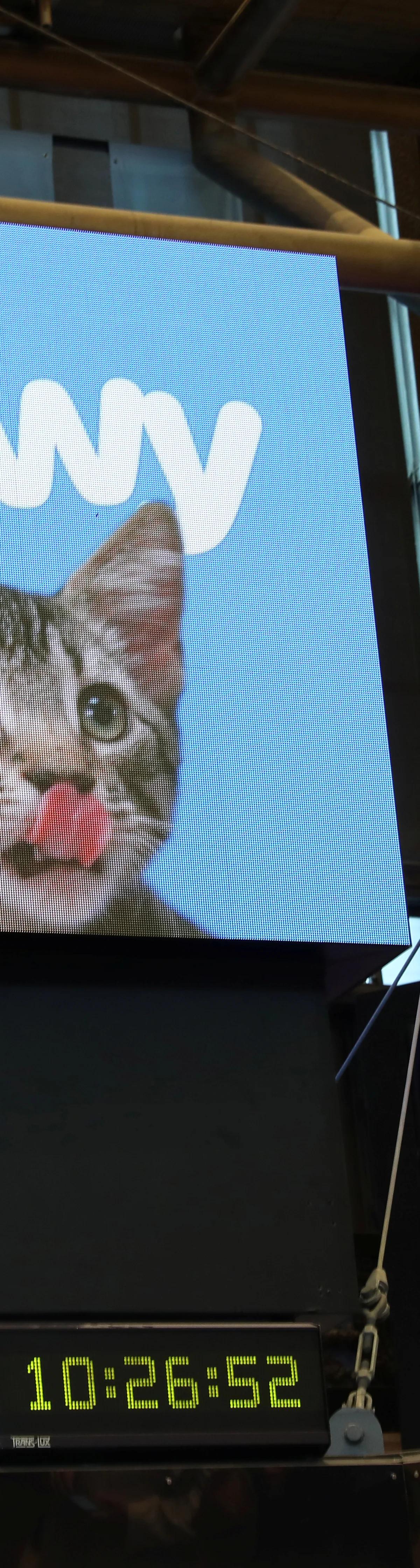 Chewy CEO: Consumers Are 'Highly Engaged' Even as Inflation Squeezes Budgets