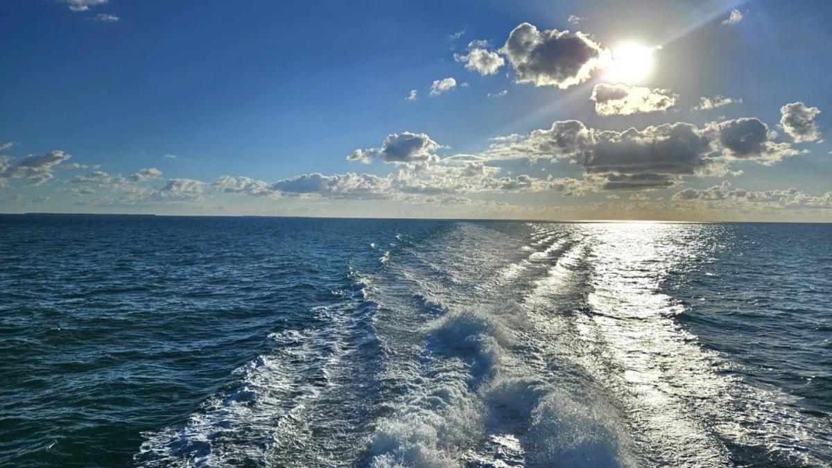 Tortugas Takes Neuro Deep Dive with $106M to Develop Eisai, Hansoh Programs