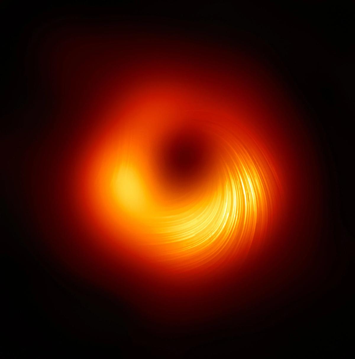 How Do Black Holes Generate Magnetic Fields?