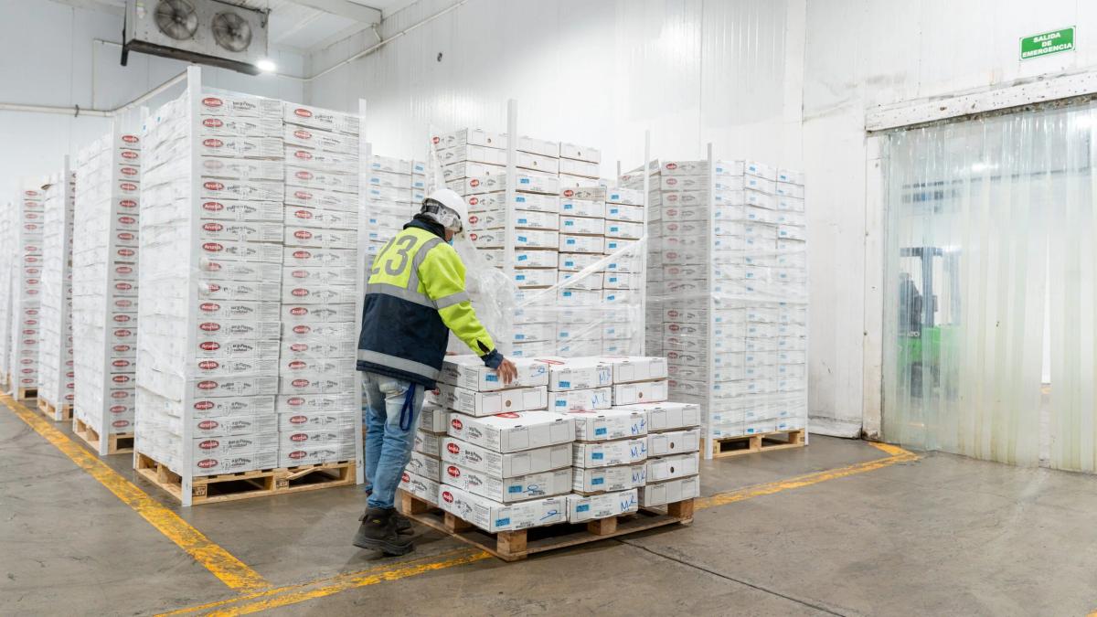 Cold Storage Trough in Sight as Vacancies Hit 20-Year High