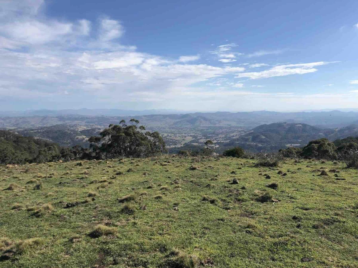 Developer Slams “Lengthy and Unnecessary” Legal Battle as Council Drops Case Against Wind Project