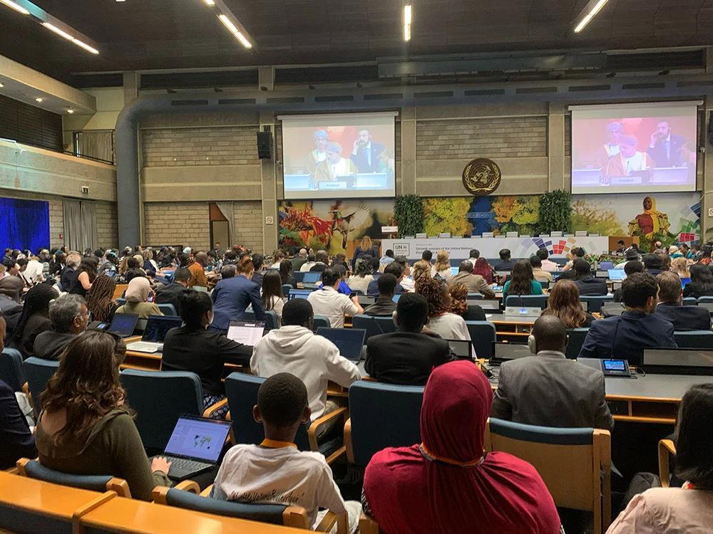 IRMA at UNEA-7