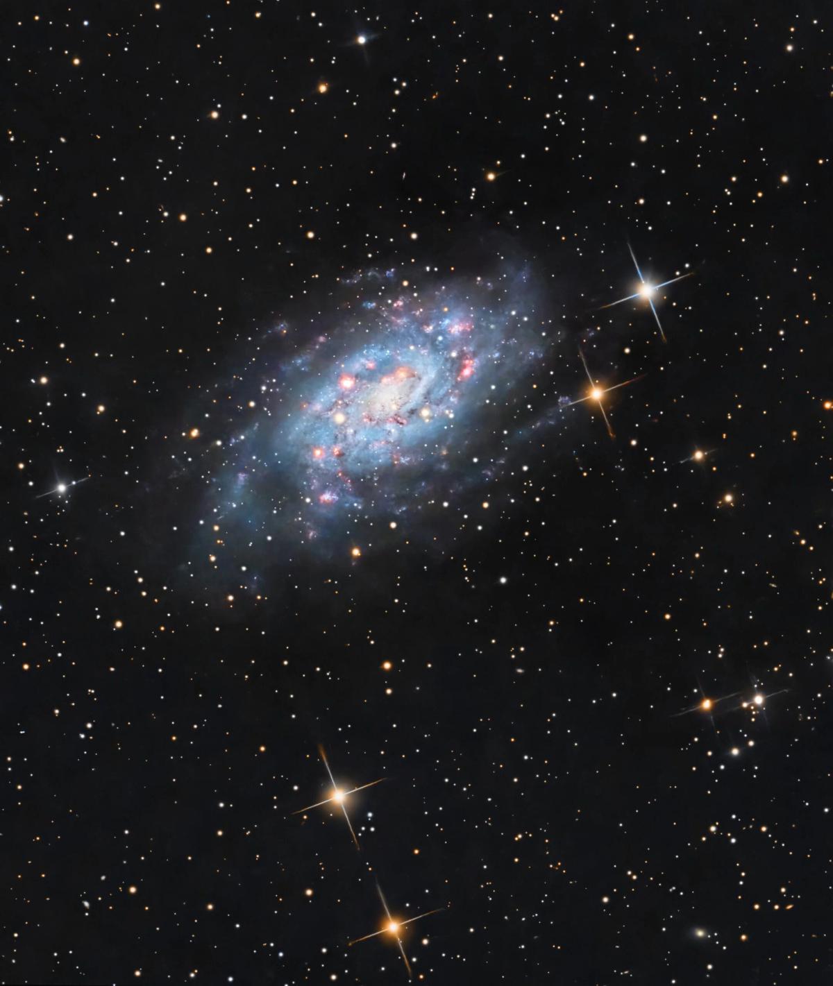 A Triangulum Lookalike