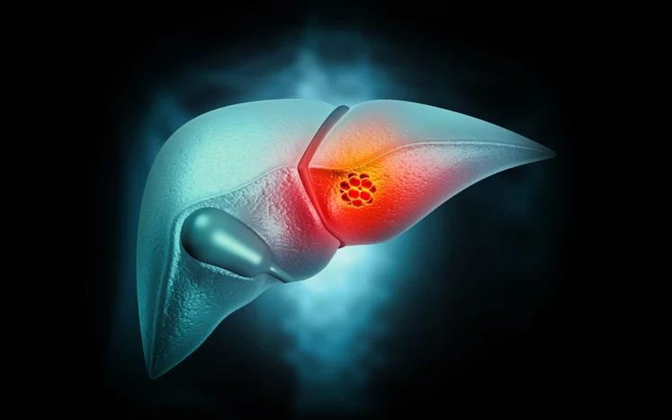 Mutation Map Indicates How Alterations in Key Cancer Gene Influence Tumor Growth