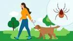 How To Prevent Tick Bites