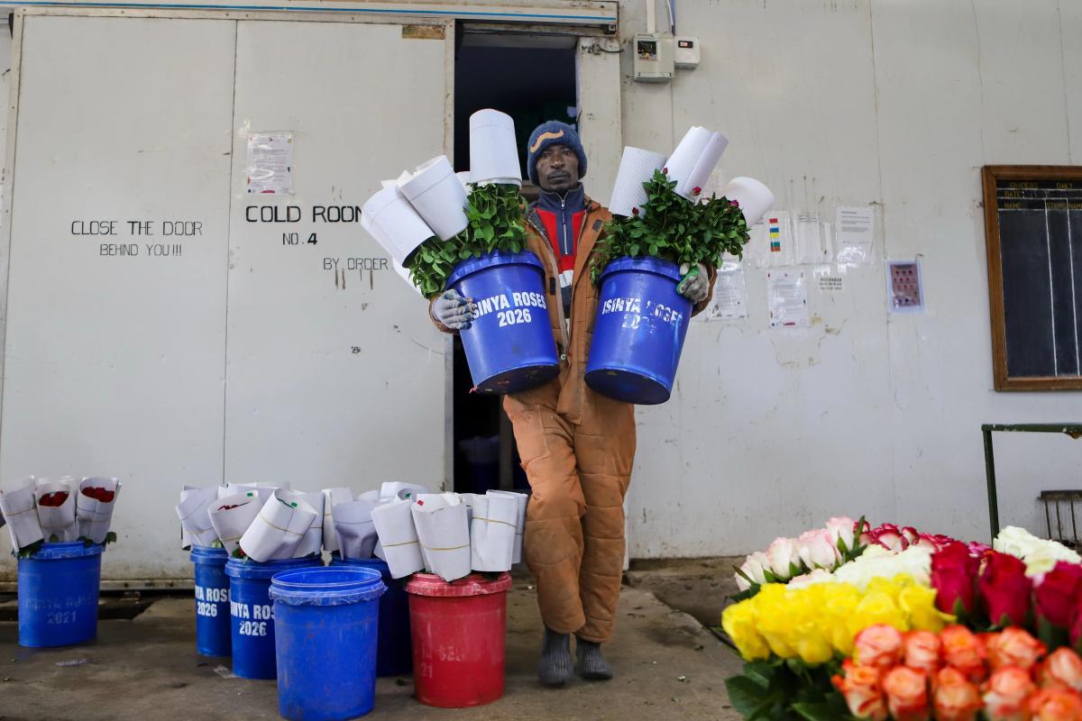 Kenya’s Flower Industry Loses Millions of Dollars Weekly Due to the Iran War