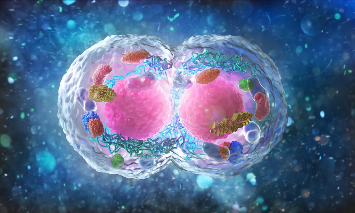 Xaira’s First Virtual Cell Model Is Largest To-Date, Toward Complex Biology