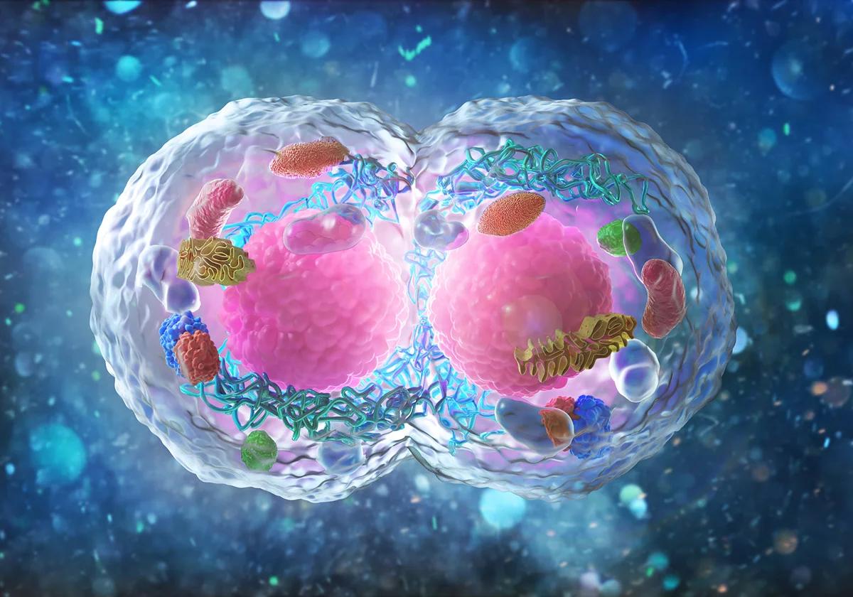 Xaira’s First Virtual Cell Model Is Largest To-Date, Toward Complex Biology