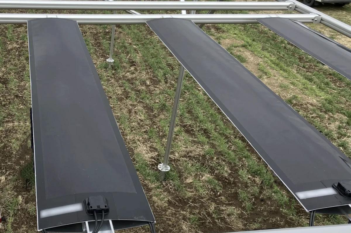 Sekisui-Led Consortium Testing Film-Type Perovskite Solar for Agrivolatics