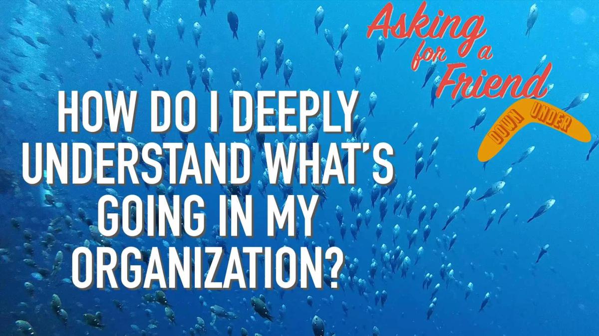 The Executive Curiosity Tour: How to Get Meaningful, Honest Insights From Employees