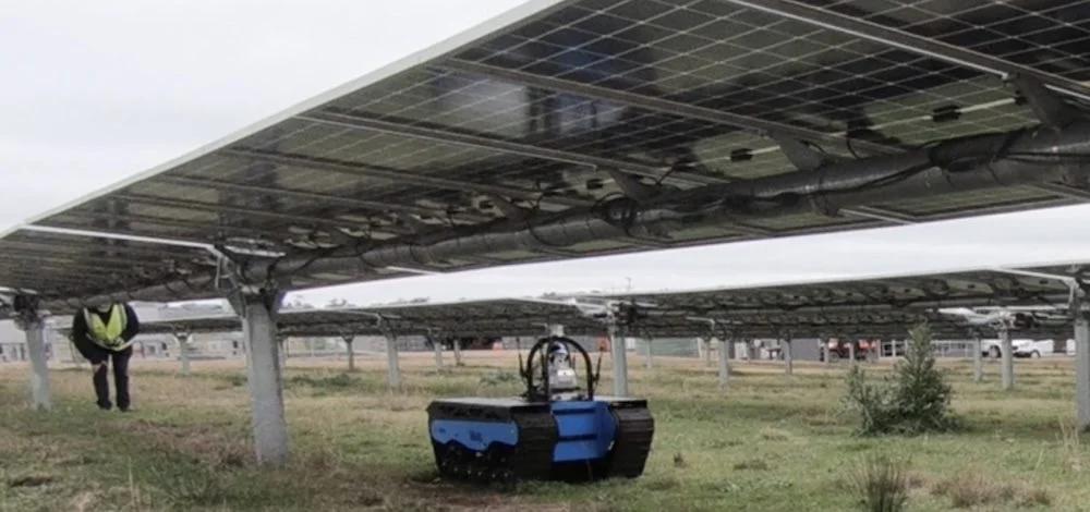 How a Robot Named Bear Is Making Solar Farm Maintenance Safer and More Efficient