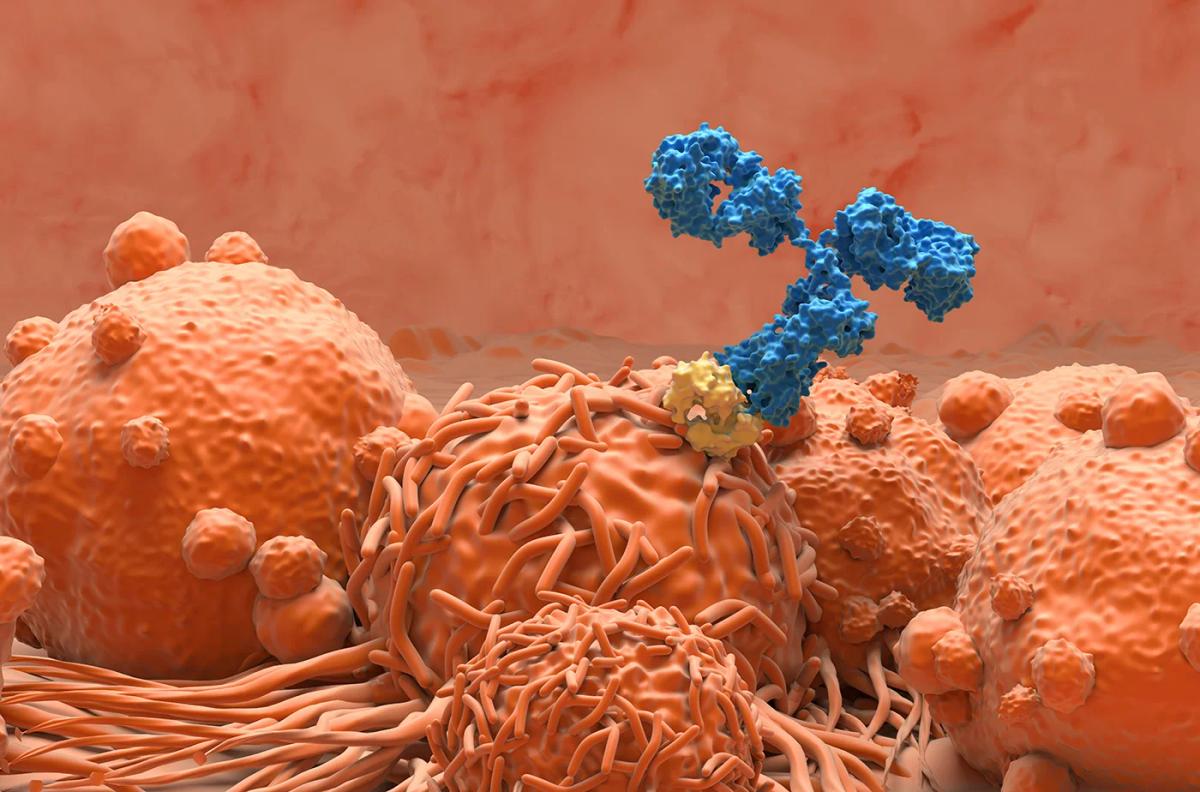 Scout-Triggered Proteomics Sharpens HCP Control