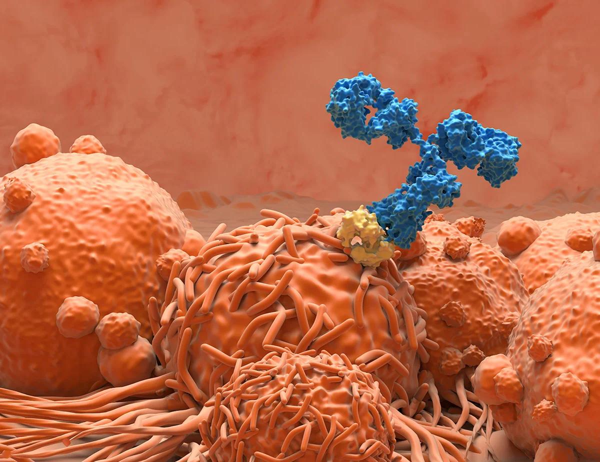 Scout-Triggered Proteomics Sharpens HCP Control