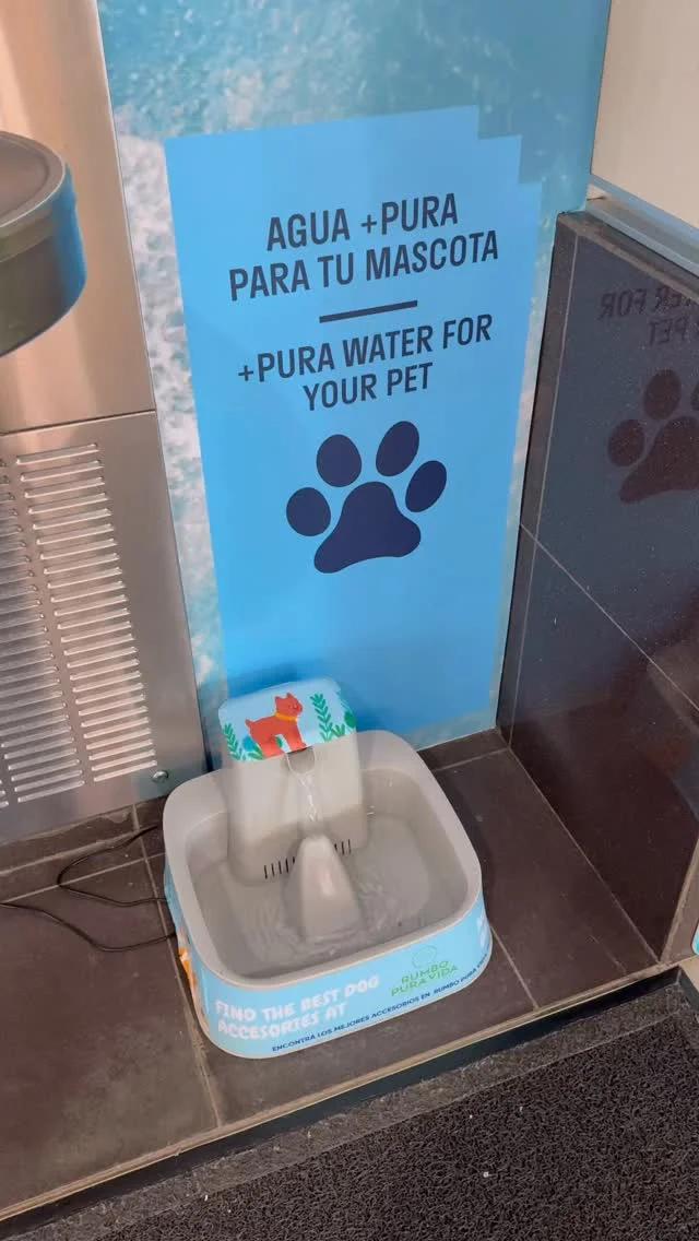 Costa Rica Airport Introduces Pet Water Stations Beside Fountains
