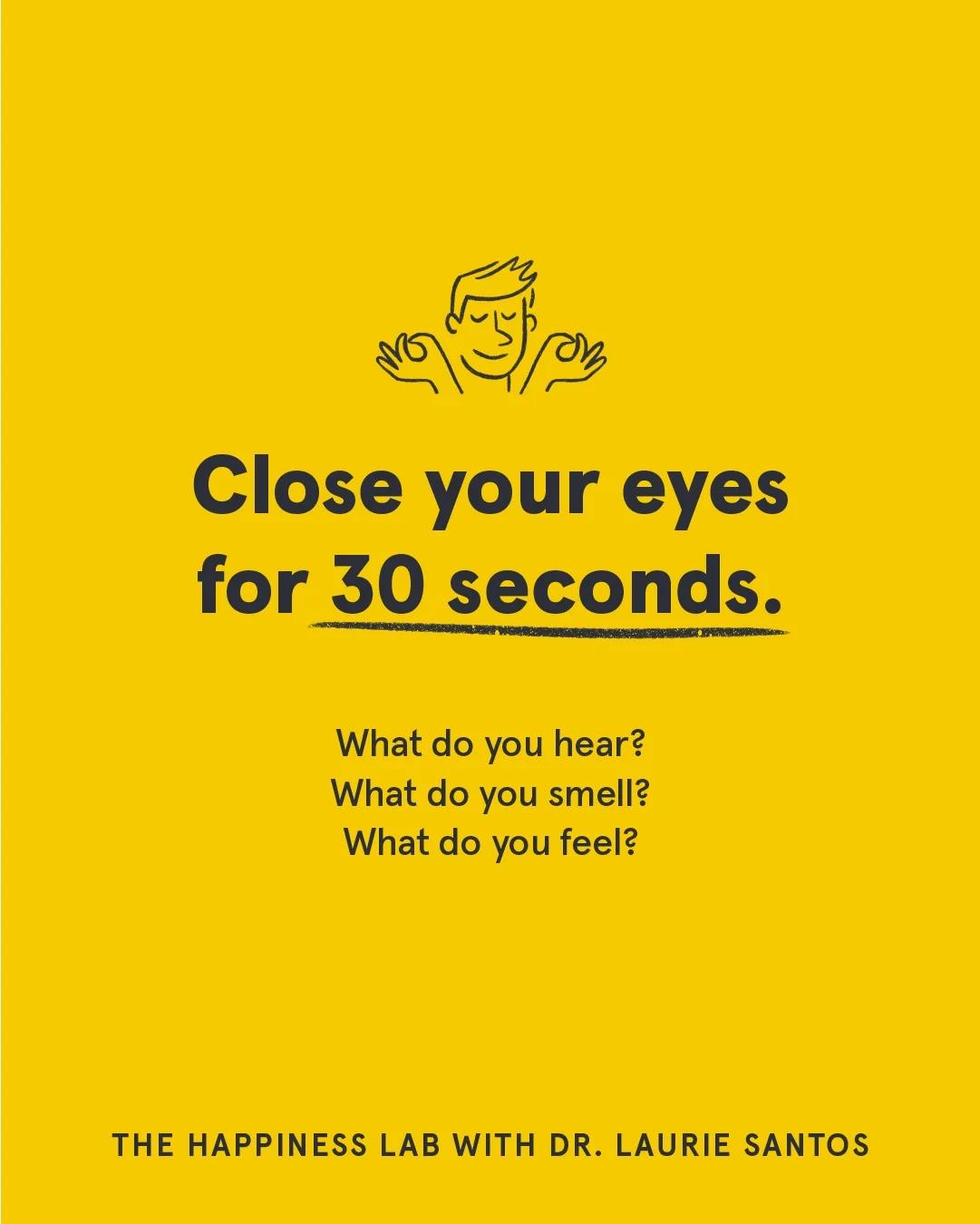 Pause: Notice the Everyday Details You Usually Miss