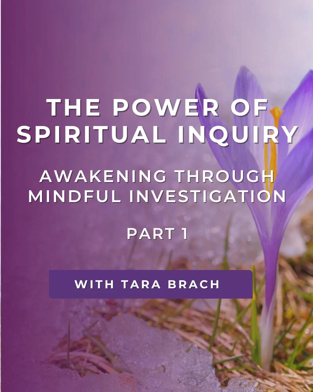 Sincere Questions Break Habitual Thought, Reveal True Awareness