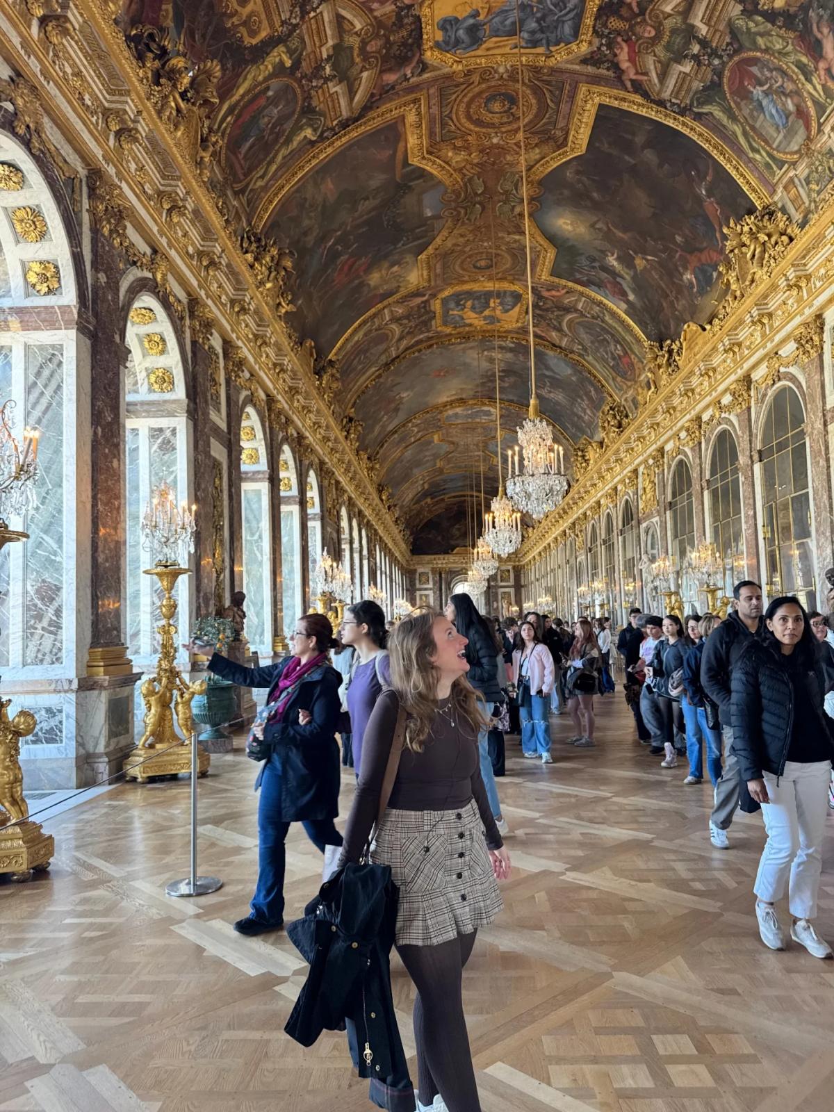 Versailles' Hall of Mirrors: One Mirror Cost a House