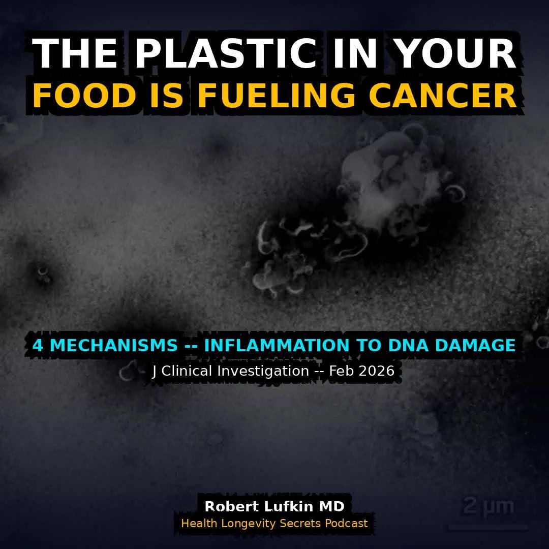 Microplastics in Food May Accelerate Cancer Development