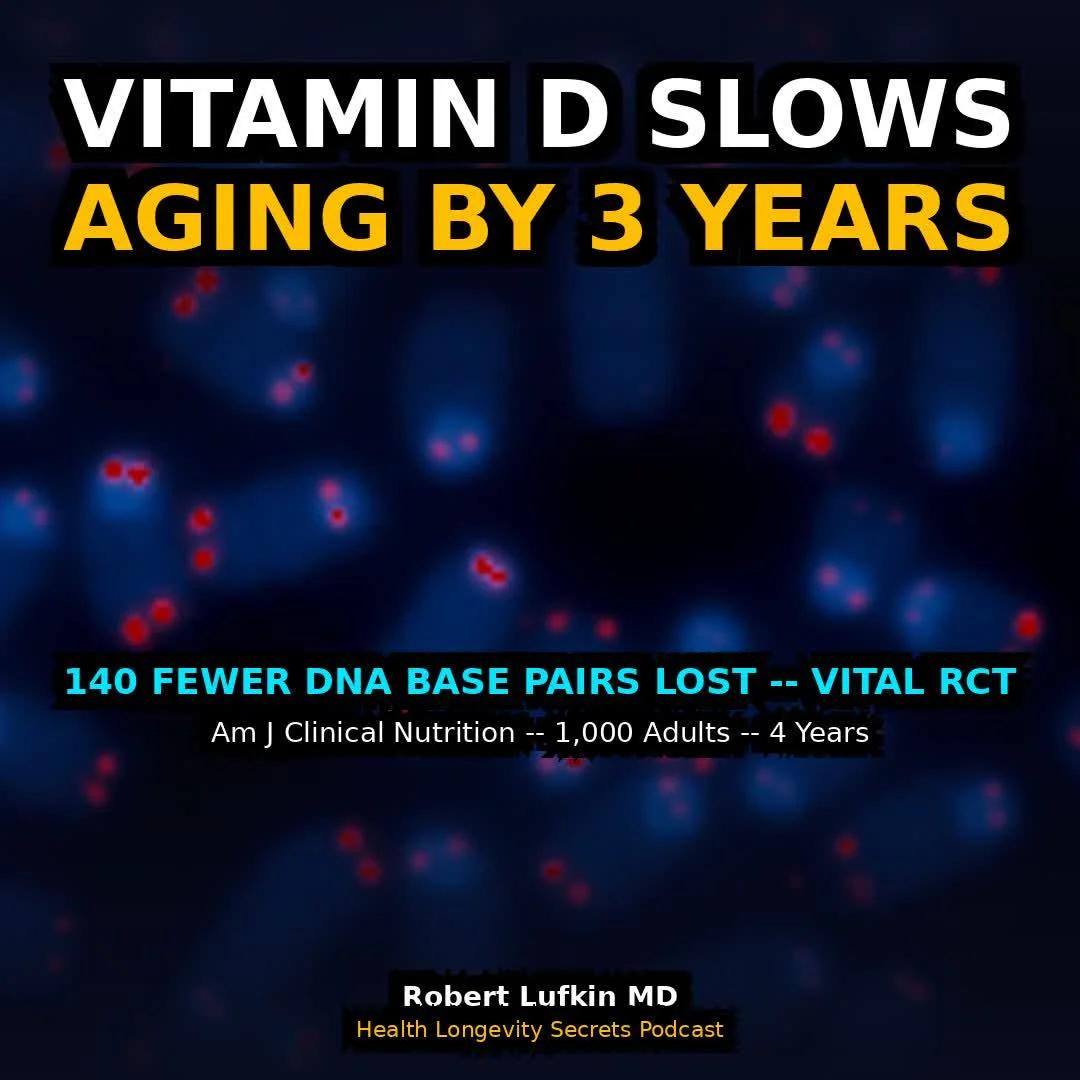 Vitamin D3 Preserves Telomeres, Slowing Cellular Aging