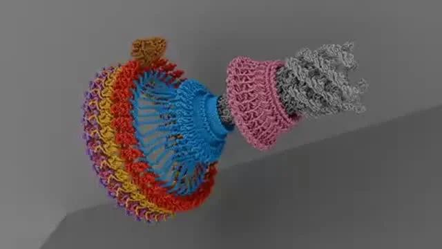 Bacterial Flagellar Motor Revealed as Proton-Powered Electric Engine