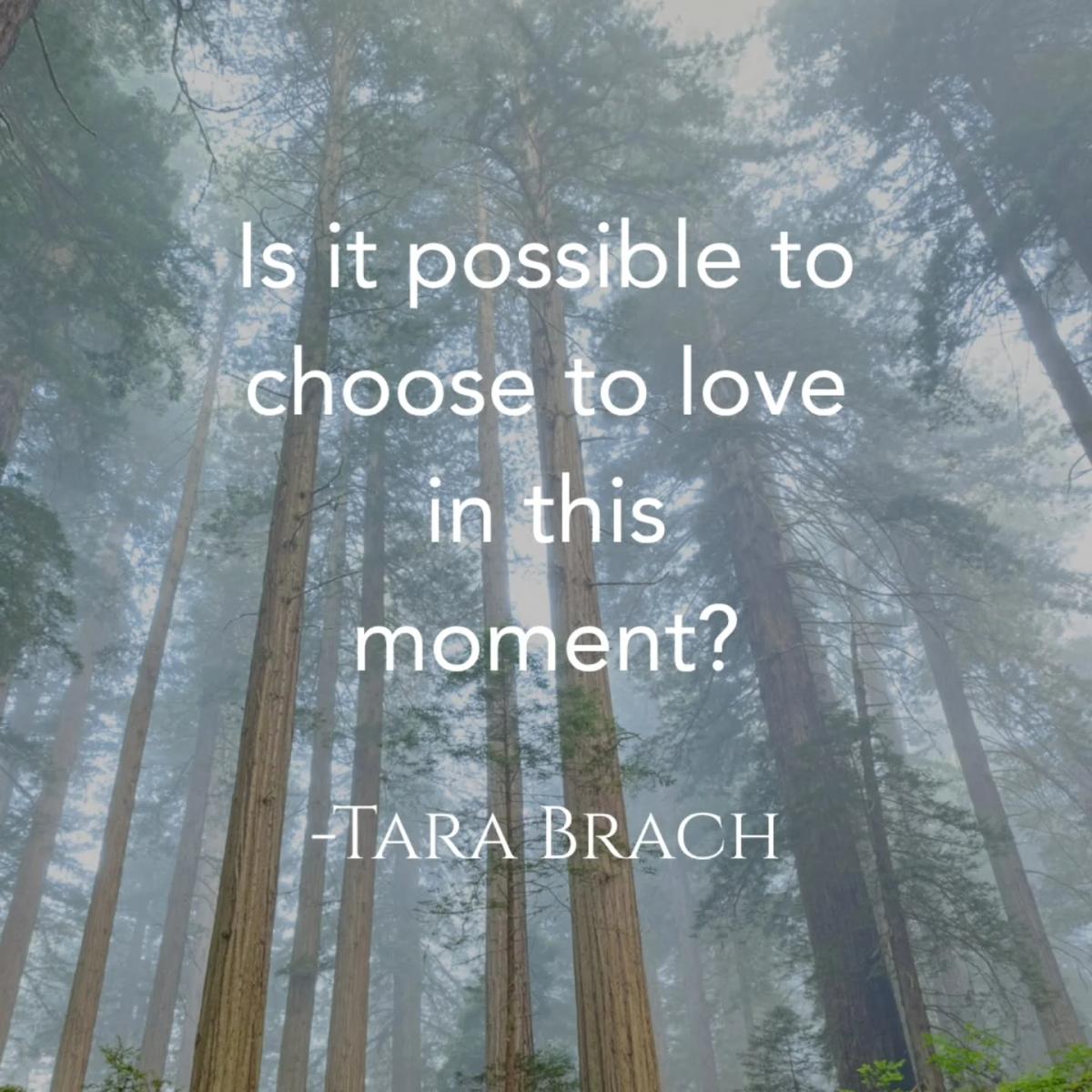 Choosing Love in the Present Moment
