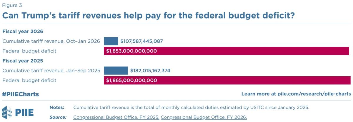 Tariff Revenue Too Small to Fund Stimulus Checks