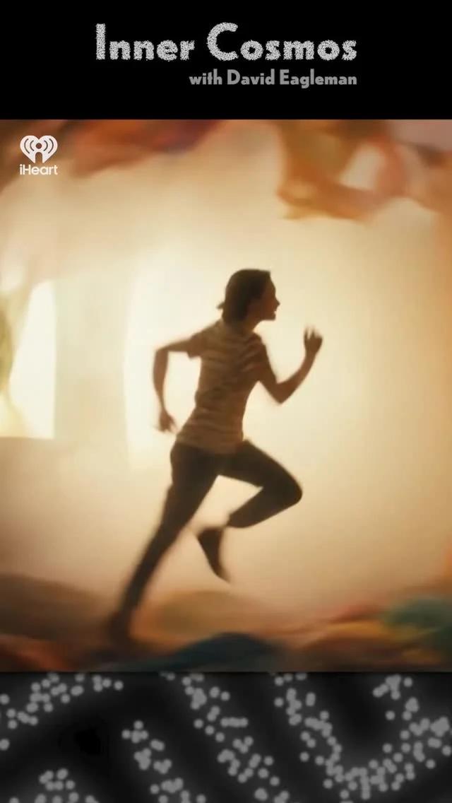 Unlock Better Dream Recall with Neuroscience Insights