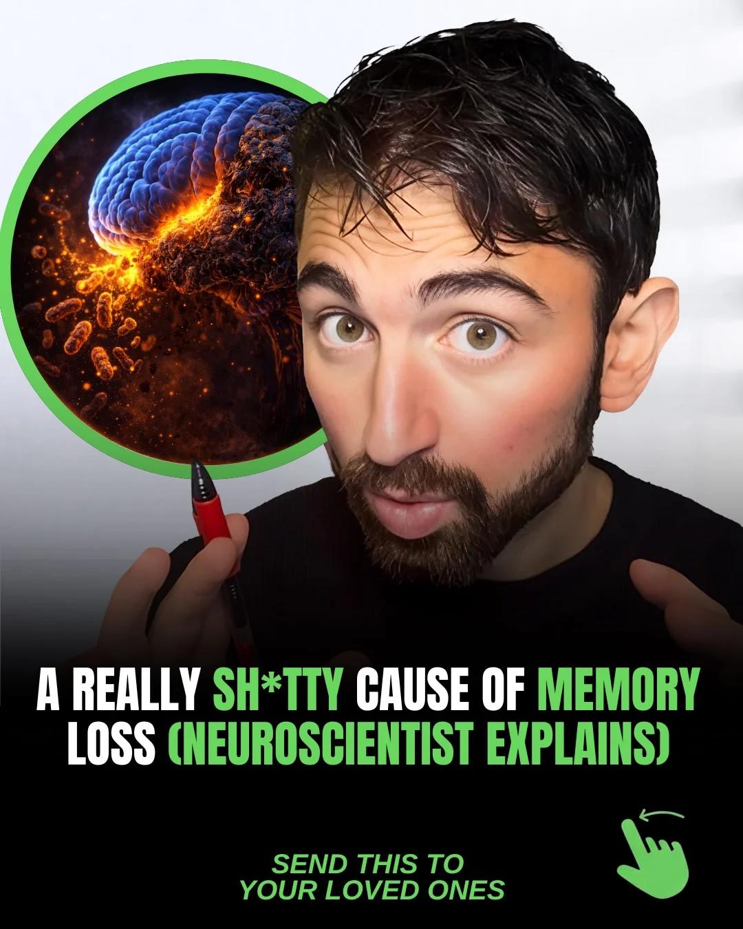 Memory Loss Can Spread via Gut Microbiome