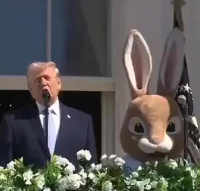 Biglaw Lawyer Battles 12‑partner Team over $3M Park