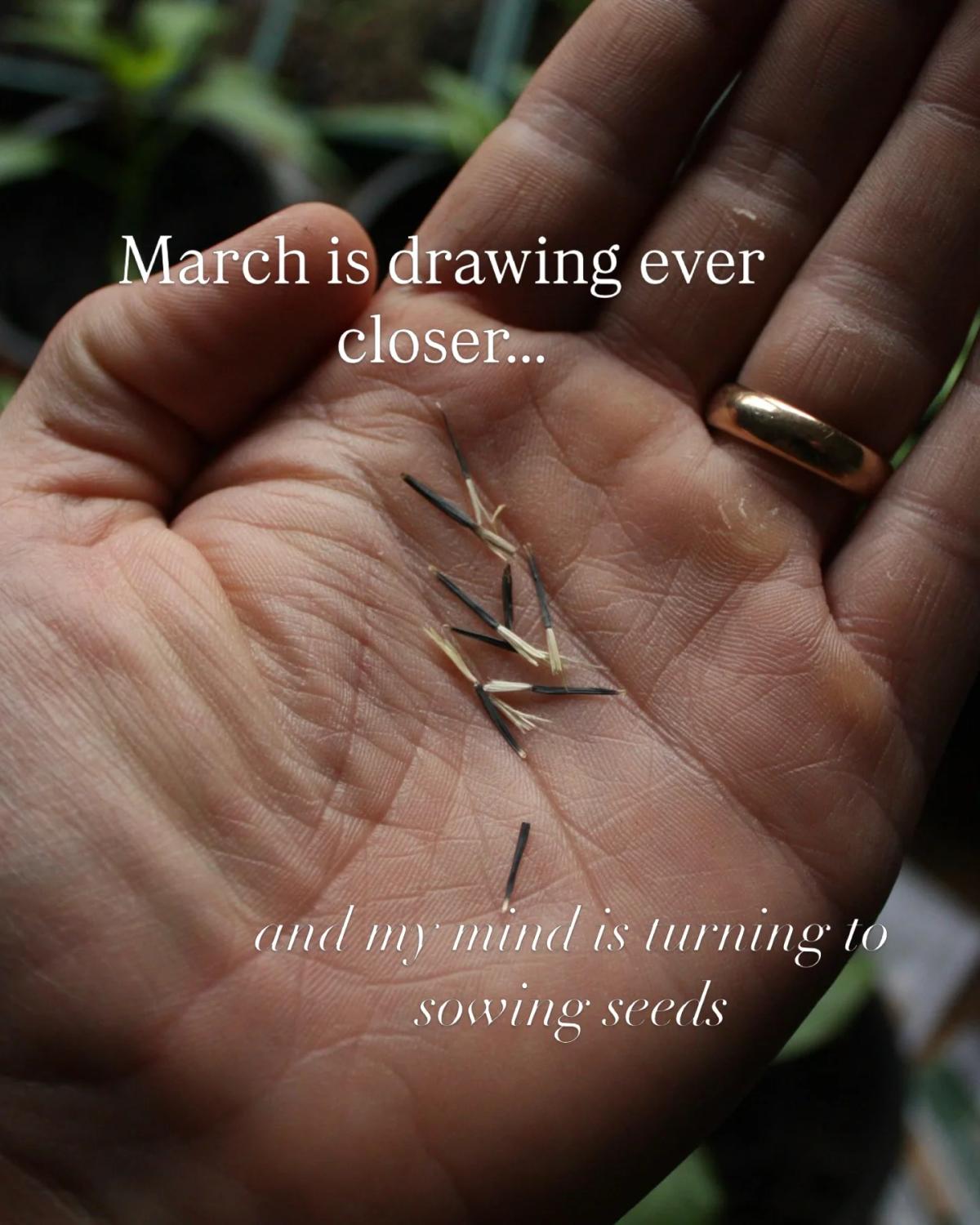 Spring Seed Review Sparks Joyful Garden Planning