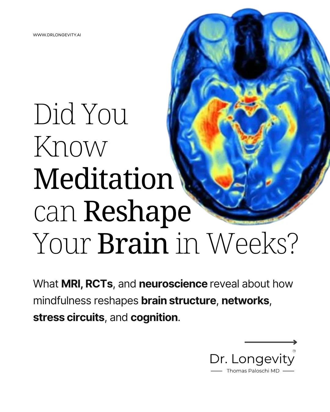 Daily Meditation Reshapes Brain for Calm, Focus, Resilience