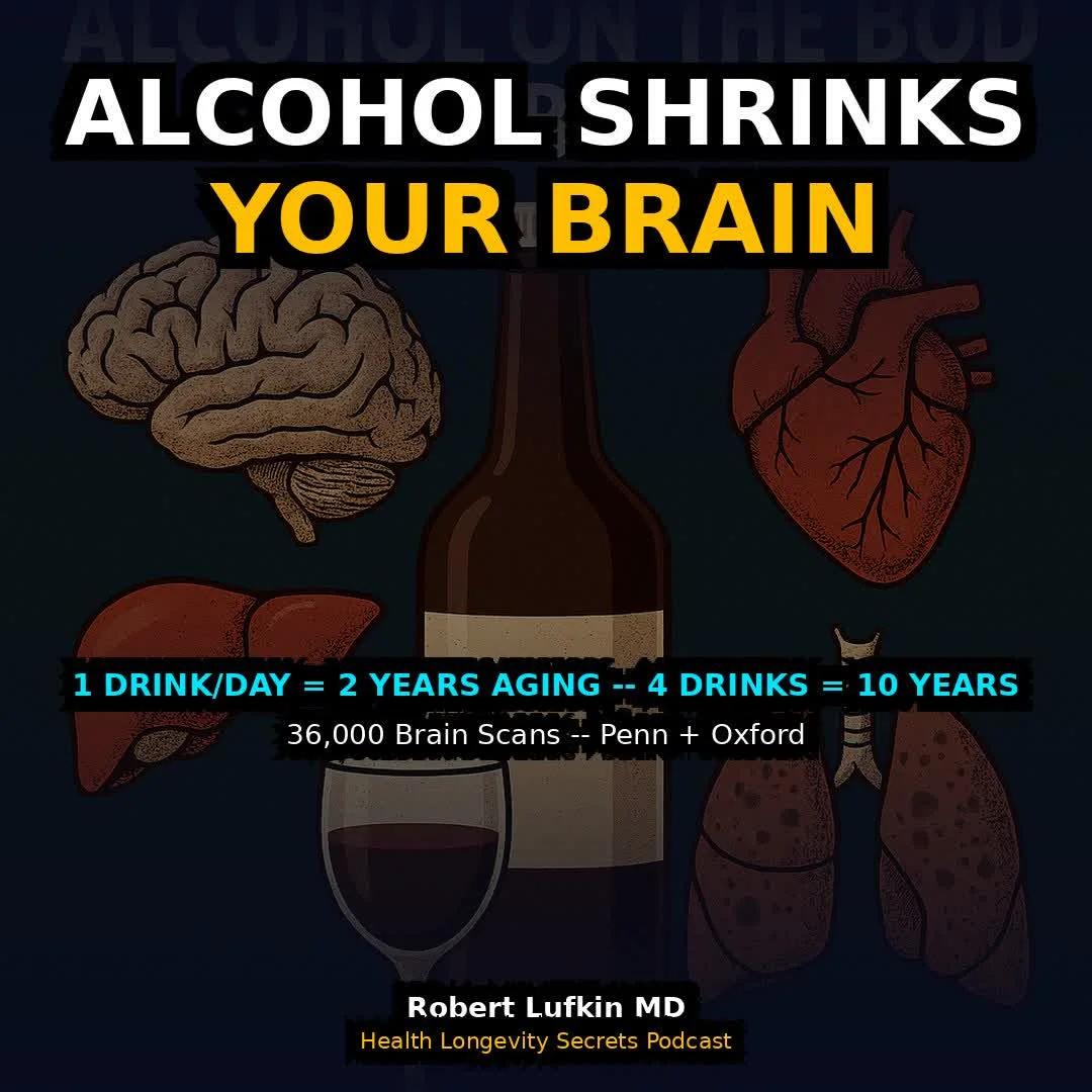 One Daily Drink Ages Brain by Two Years
