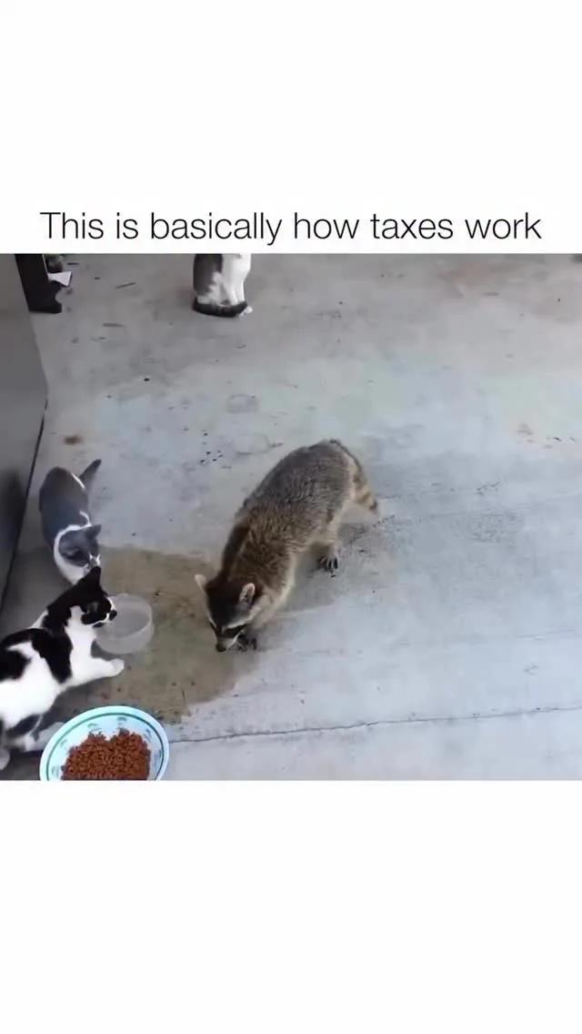 Stop Giving the Gov Interest-Free Loans: Zero Your Refund