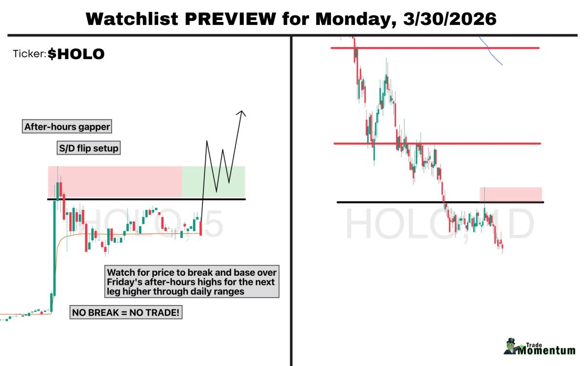 HOLO FY25 Revenue Jumps 39%, Eyes Breakout